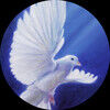 deadly_dove